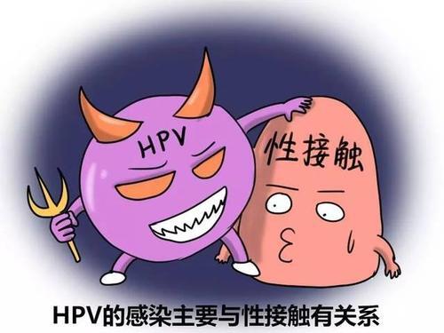 尖锐湿疣感染的危害是什么【惠城广肤门诊部正不正规】